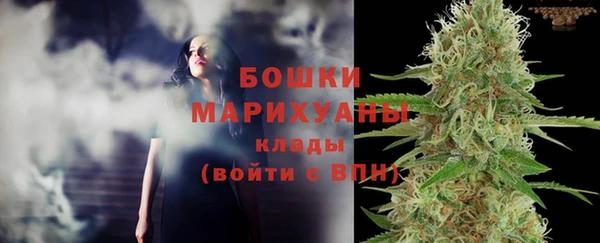 ешки Арсеньев