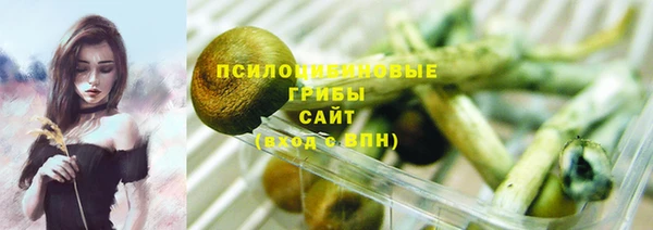 соль курить ск Алексеевка