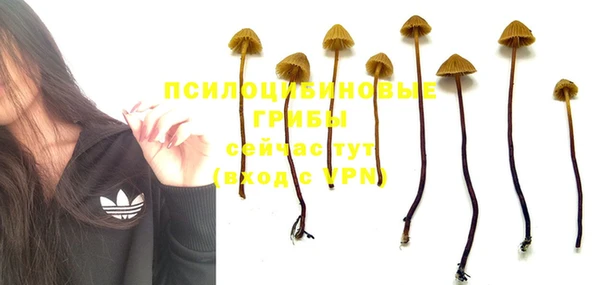 ешки Арсеньев
