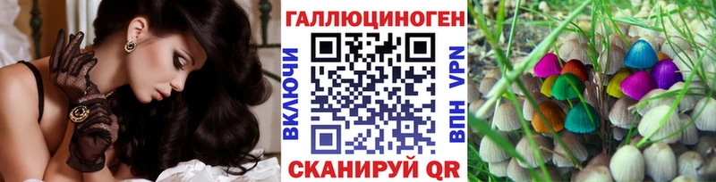 Купить закладки  Среднеколымск  Галлюциногенные грибы Psilocybine cubensis 